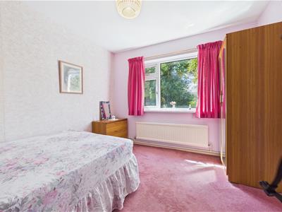 Picture 20